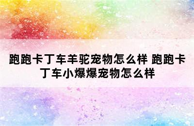 跑跑卡丁车羊驼宠物怎么样 跑跑卡丁车小爆爆宠物怎么样